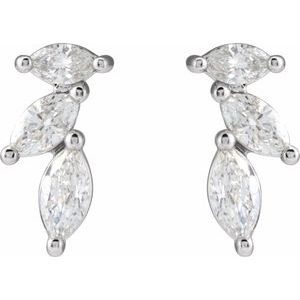 Accented Earrings