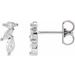 Accented Earrings