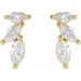 Accented Earrings