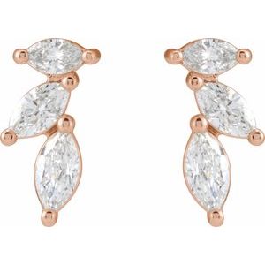 Accented Earrings