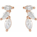 Accented Earrings