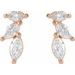 Accented Earrings