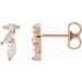Accented Earrings