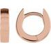 Hinged Hoop Earrings
