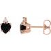 Accented Heart Earrings