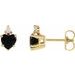 Accented Heart Earrings
