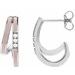 Accented Double-Row Enamel Hoop Earrings