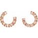 Accented Forward-Facing Earrings