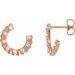 Accented Forward-Facing Earrings