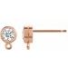 Round Bezel-Set Earring Top
