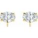 Oval 4-Prong Claw Earring Top