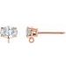 Oval 4-Prong Claw Earring Top