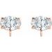 Oval 4-Prong Claw Earring Top