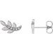 Accented Leaf Earrings
