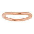 Accented Engagement Ring or Band