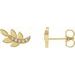 Accented Leaf Earrings