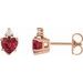 Accented Heart Earrings