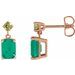 Accented Earrings