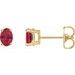 Oval 4-Prong Lightweight Stud Earrings