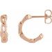 Nature Hoop Earrings