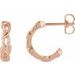 Nature Hoop Earrings
