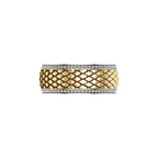 Accented Band