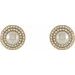 Halo-Style Pearl Earrings