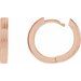 Huggie Hoop Earrings