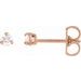 Round 3-Prong Pre-Notched Claw Earring