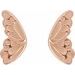 Butterfly Wing Earrings