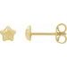 Star Earrings