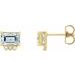 Accented Earrings