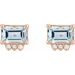 Accented Earrings