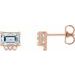 Accented Earrings