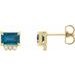 Accented Earrings