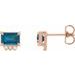 Accented Earrings
