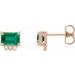 Accented Earrings