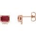 Accented Earrings
