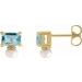 Accented Pearl Earrings