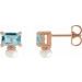 Accented Pearl Earrings