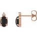 Accented Cabochon Earrings