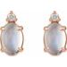 Accented Cabochon Earrings