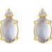 Accented Cabochon Earrings