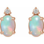Accented Cabochon Earrings