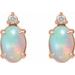 Accented Cabochon Earrings