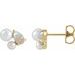 Cluster Earrings