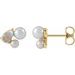 Cluster Earrings