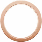 Accented Engagement Ring or Band