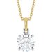 Accented Necklace or Pendant