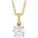 Accented Necklace or Pendant